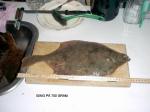 ising 700 gram